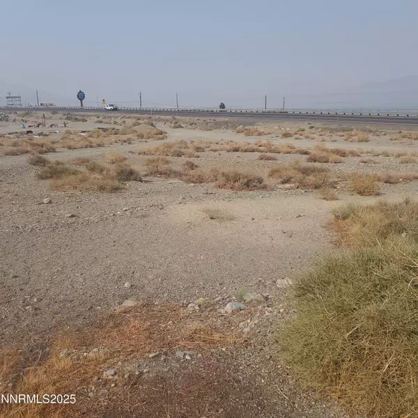 Walker Lake, NV 89415,386 Golden Willow DR