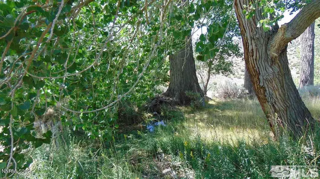 00429110 Sutro Springs Rd. #004-291-10, Dayton, NV 89403