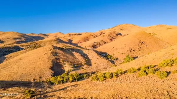 Reno, NV 89510,1955 Piute Creek #25