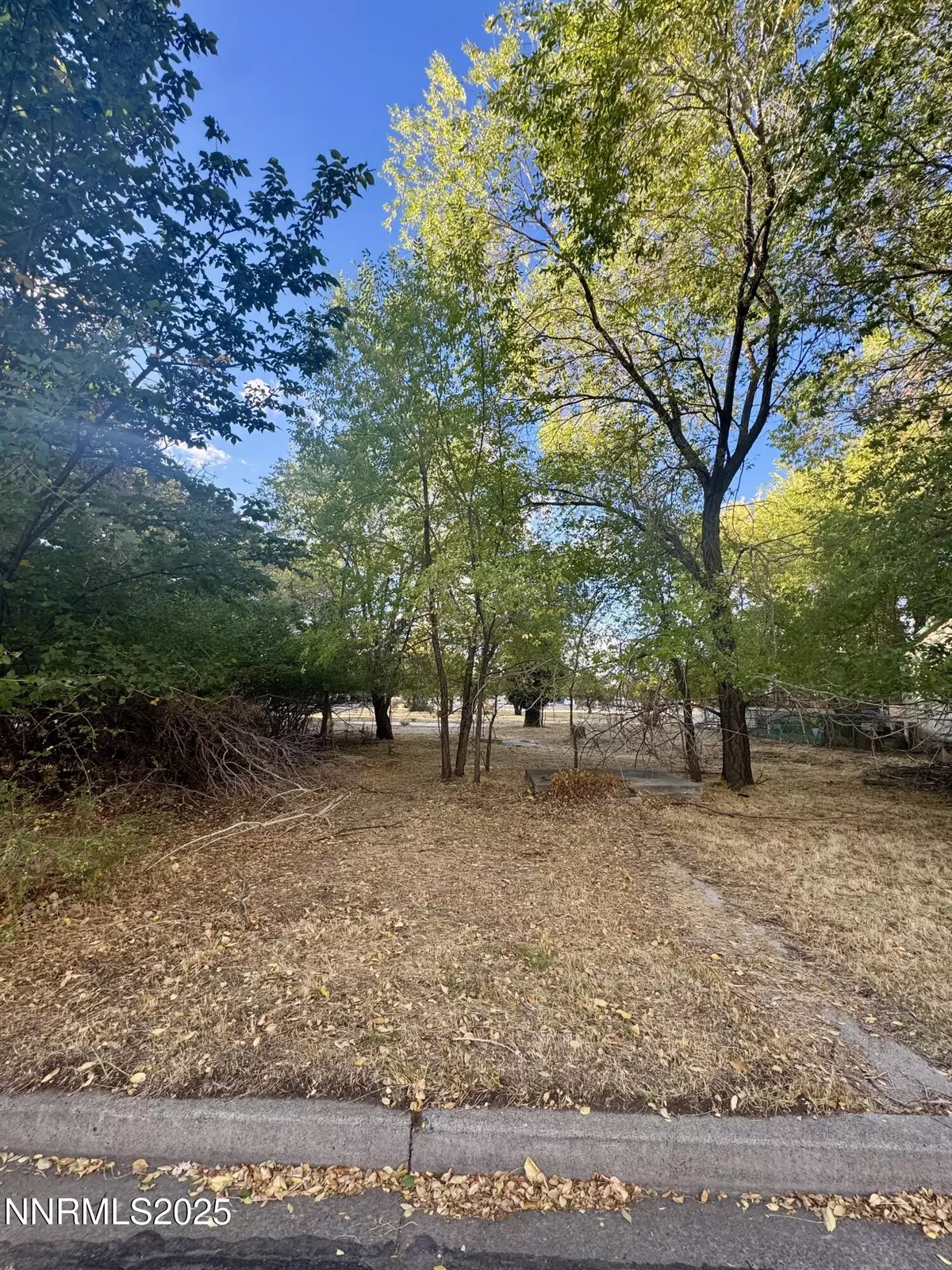 Carson City, NV 89701,611 E Proctor