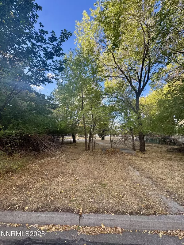 611 E Proctor, Carson City, NV 89701