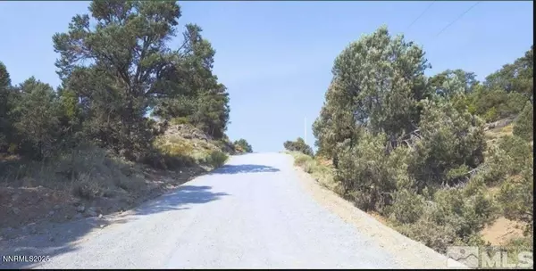 Reno, NV 89521,1380 Bonanza RD