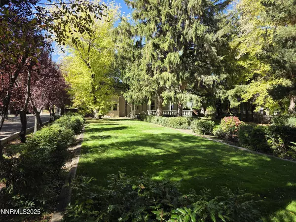 Carson City, NV 89703,310 Mountain