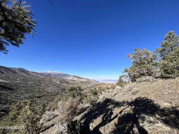 APN 00665121, Hawthorne, NV 89415