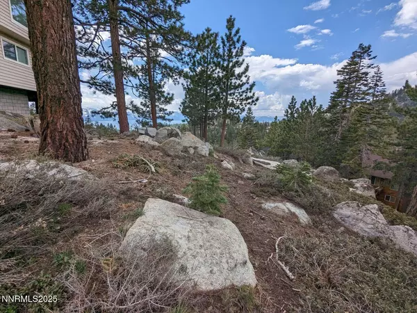 Stateline, NV 89449,716 Tina CT