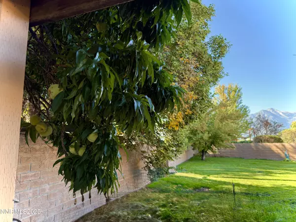 Minden, NV 89423,1616 Belarra DR