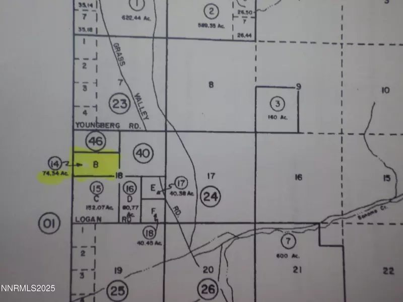 0 Ruiz Rd #009-220-14, Grass Valley, NV 89445