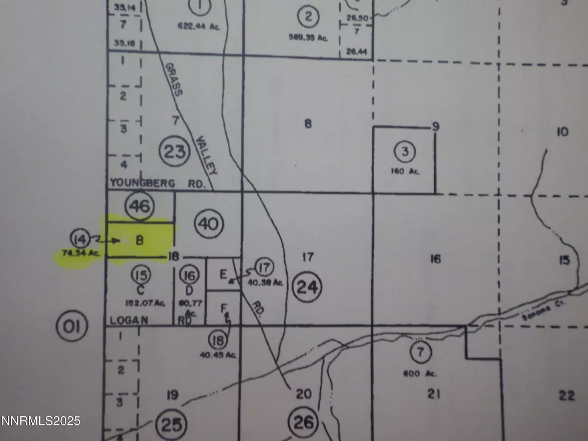 Grass Valley, NV 89445,0 Ruiz Rd #009-220-14