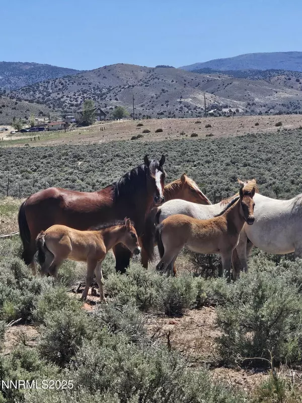 Reno, NV 89510,300 Crossover RD
