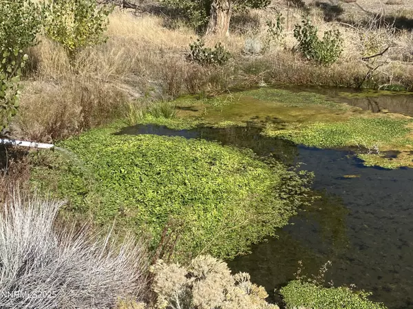 Gardnerville, NV 89410,1155 S Us Highway 395