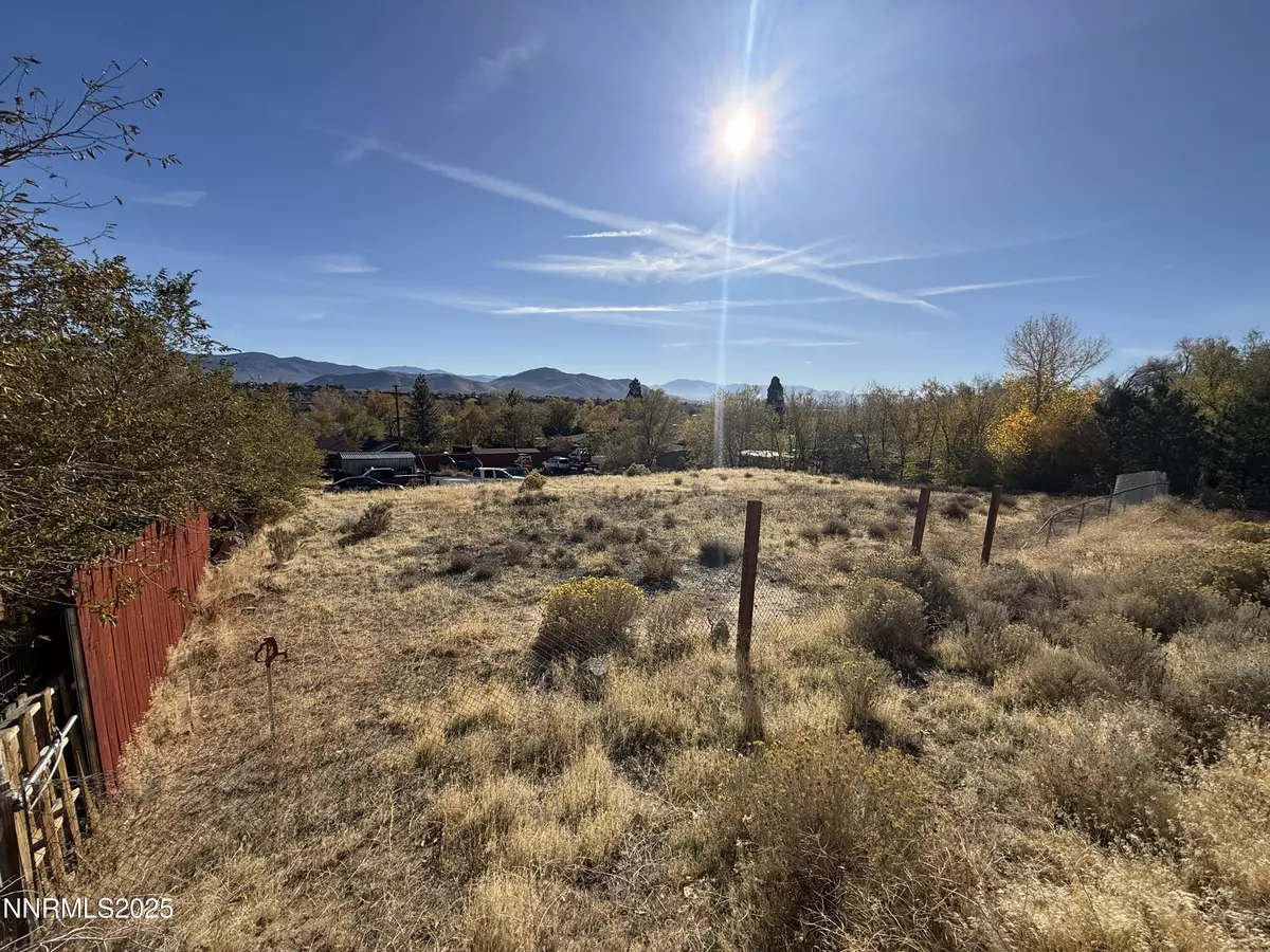 Carson City, NV 89705,3482 Calcite CIR