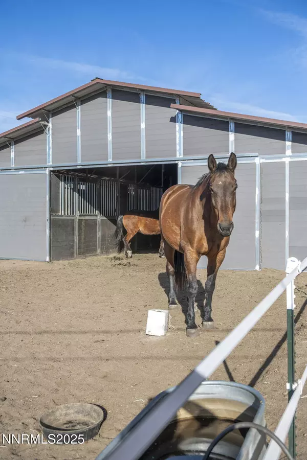 Washoe Valley, NV 89704,2075 Buckskin DR