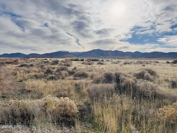 Winnemucca, NV 89445,16-0541-03 Walther LN