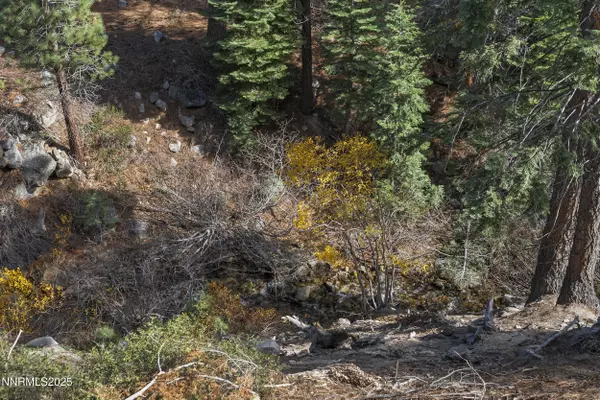 Incline Village, NV 89451,947 Jennifer ST