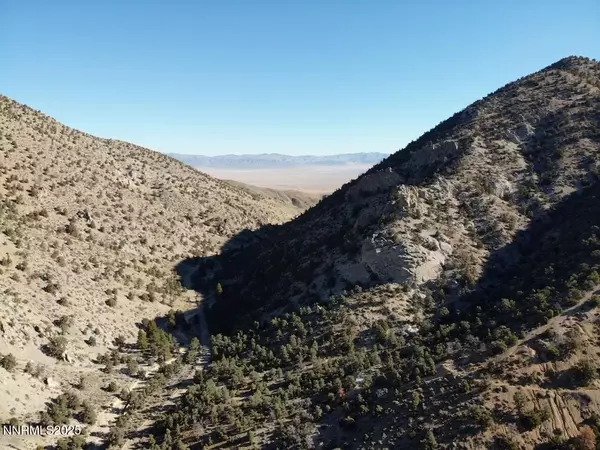 Hawthorne, NV 89415,tbd Alum Creek Road