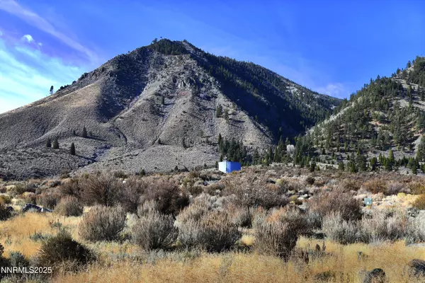 Genoa, NV 89411,295 James Canyon Loop