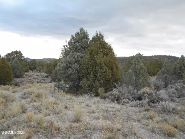 Reno, NV 89521,21855 Adobe RD