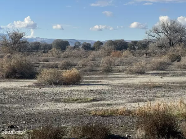 Lovelock, NV 89419,68 River Banks
