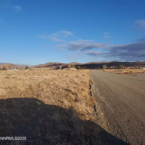 Yerington, NV 89447,45 Nadel LN