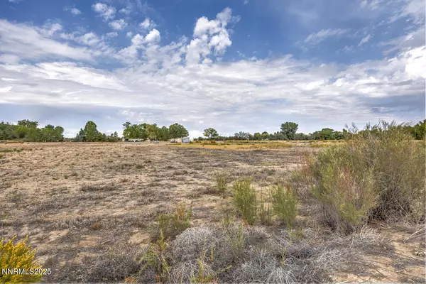 Fallon, NV 89406,895 Howard