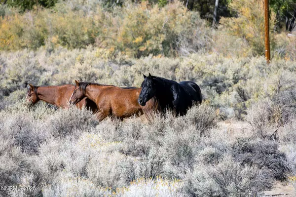 Sparks, NV 89434,1088 McCarran Ranch