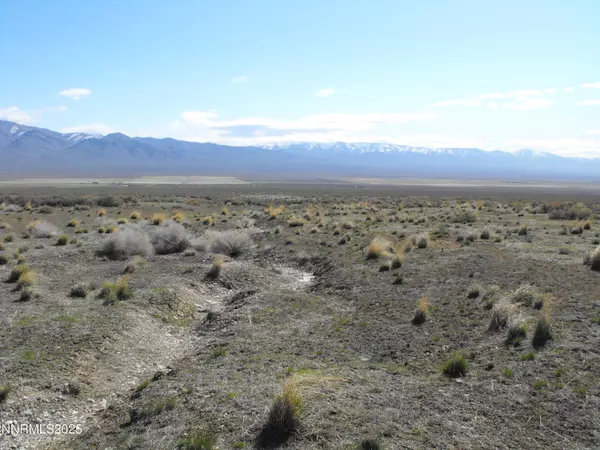 Unionville, NV 89418,0 Coyote Canyon Rd