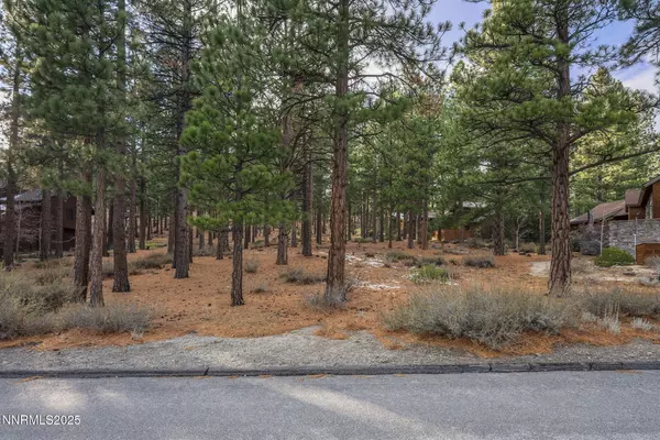 1385 Austrian Pine, Reno, NV 89511