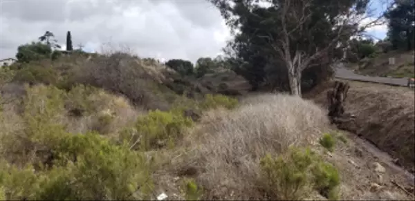 Lemon Grove, CA 91945,0 San Miguel Ave APN 478-210-21-00 #1