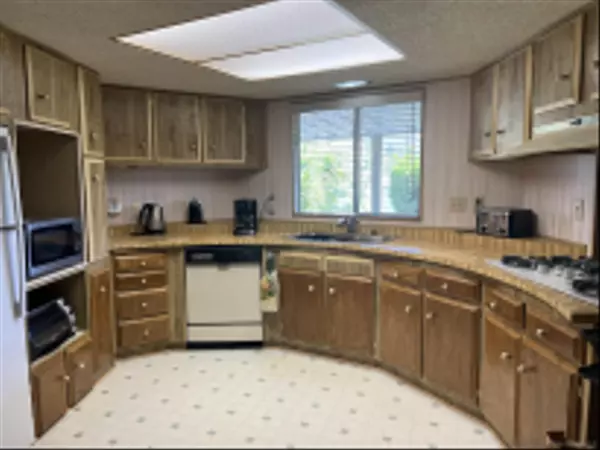 San Marcos, CA 92069,1401 El Norte Pkwy #SPC 177