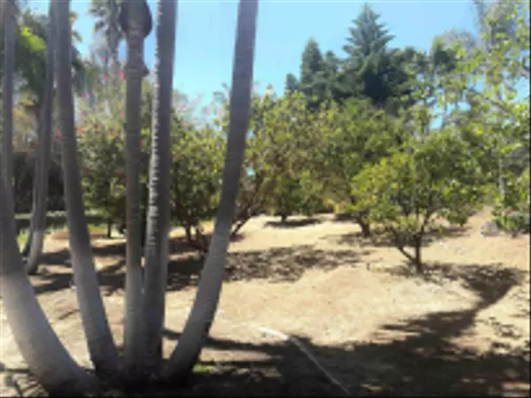 Rancho Santa Fe, CA 92067,17563 Avenida Peregrina