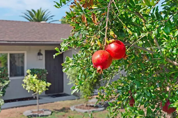 Poway, CA 92064,12715 Roca Grande Dr