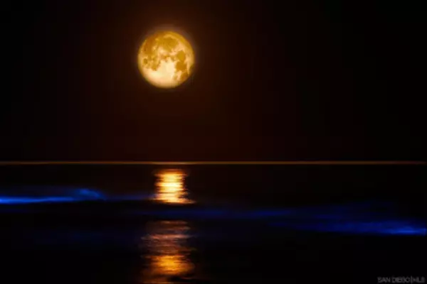 Encinitas, CA 92024,820 Encinitas Boulevard 204 #204