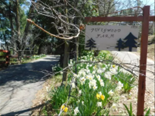 2225 Highway 78, Julian, CA 92036