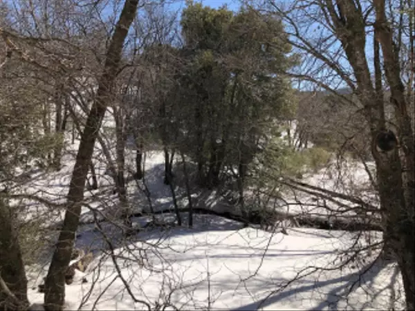 Julian, CA 92036,001 Royal Dr #5,7