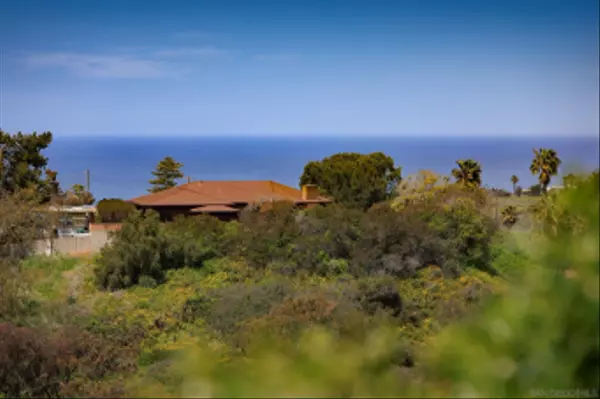 1660 Leora Ln, Encinitas, CA 92024