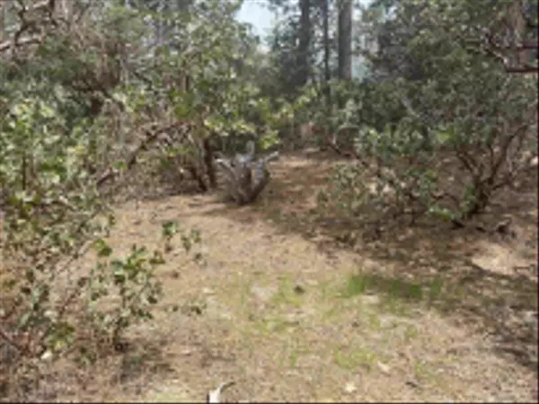 Idyllwild, CA 92549,0000 Logan Creek Dr. #559082011