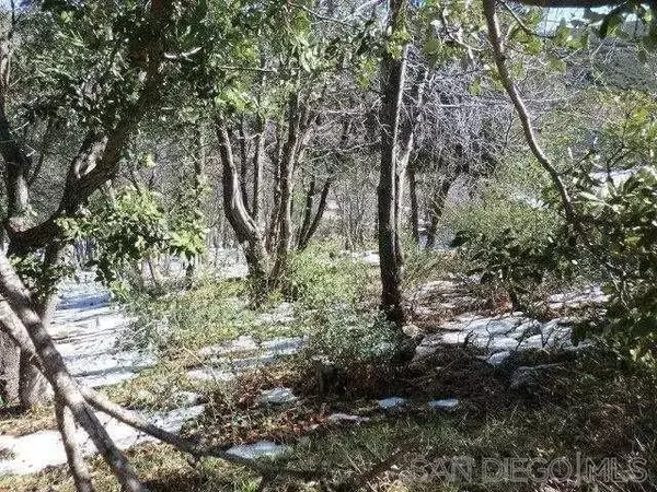 Julian, CA 92036,0 Highland Drive #266