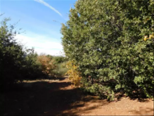 Julian, CA 92036,5310 Acorn Patch Rd #-