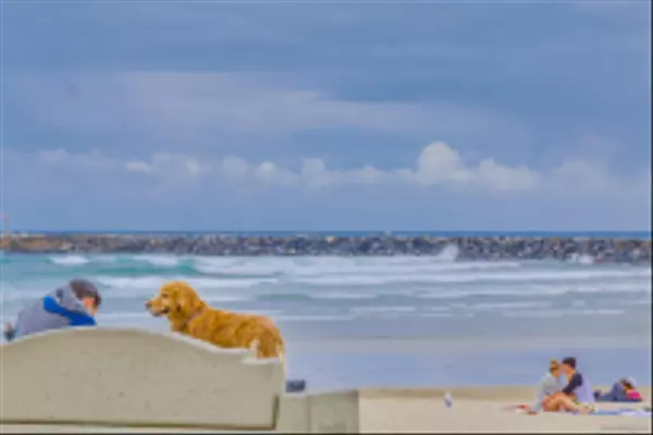 2111 Spray St #4, San Diego, CA 92107