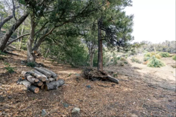 Wrightwood, CA 93544,0 Timberline Dr #0