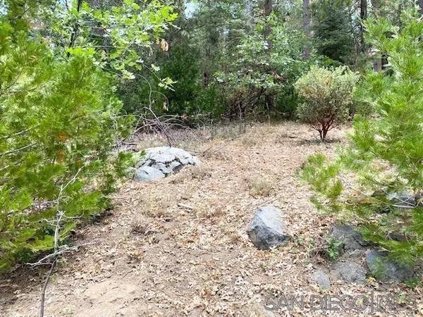 Pine Cove Idyllwild, CA 92549,0 Laurel Trail Lot #7