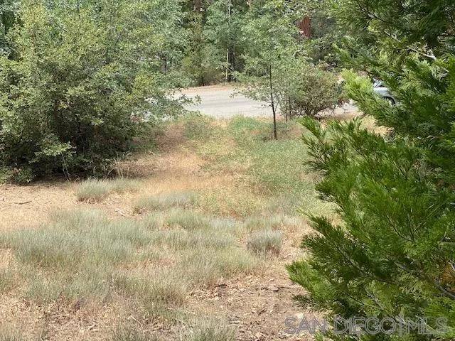 Pine Cove Idyllwild, CA 92549,0 Laurel Trail Lot #7