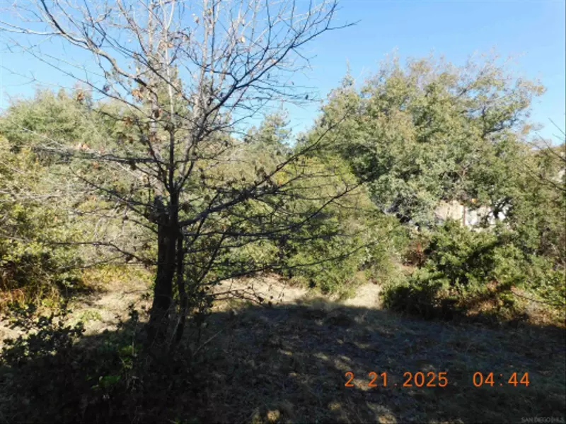 1700 block Whispering Pines Dr. #0, Julian, CA 92036