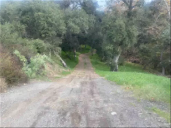 Valley Center, CA 92082,9.03 acres on Lilac Rd #.