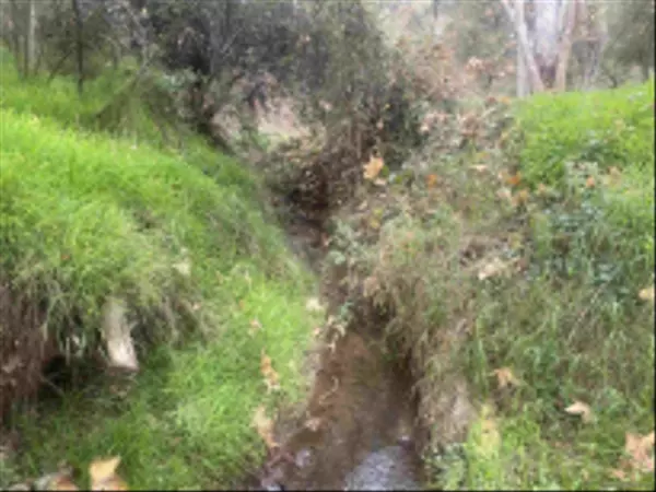 Valley Center, CA 92082,9.03 acres on Lilac Rd #.