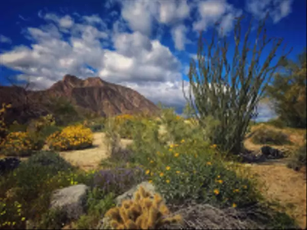 0 Palm Canyon Dr. #0, Borrego Springs, CA 92004