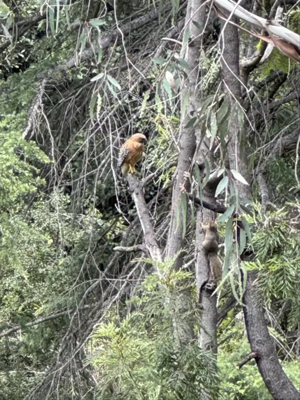 San Diego, CA 92103,3262 Front St