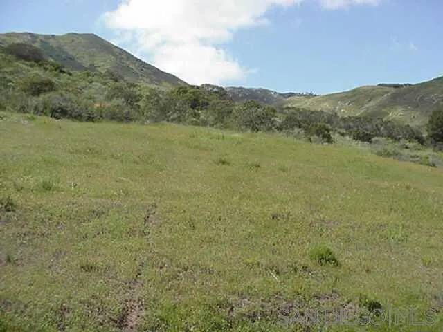 El Cajon, CA 92019,14761 Quail Haven Ln 1 #1