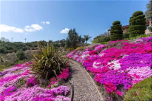 Fallbrook, CA 92028,4241 Via El Dorado