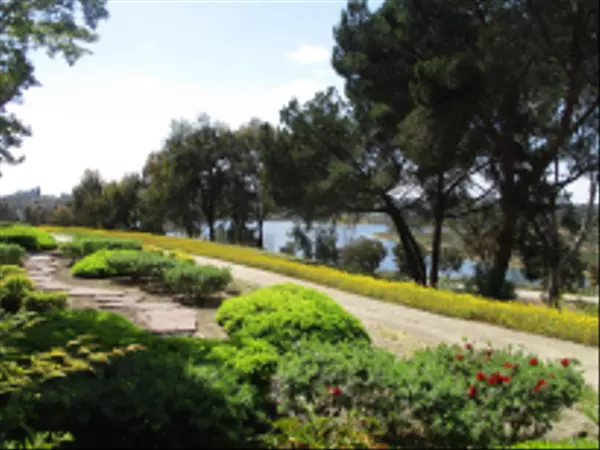 5710 Baltimore Drive #421, La Mesa, CA 91942